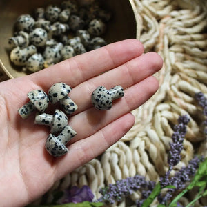 Mini Crystal Mushroom - Humanist Beauty