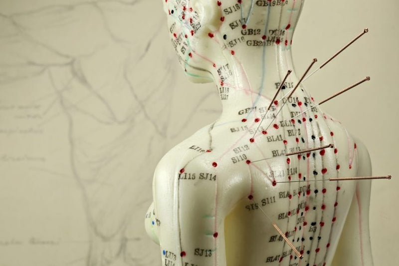 Qi is the Key: Acupuncture and the 12 Meridians