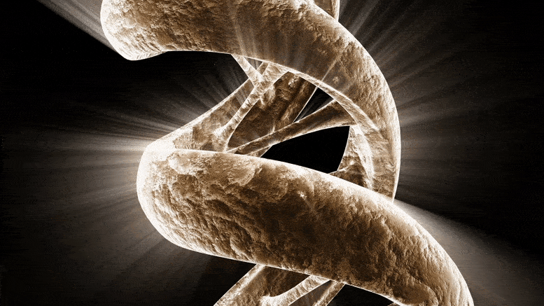 Epigenetics Explained