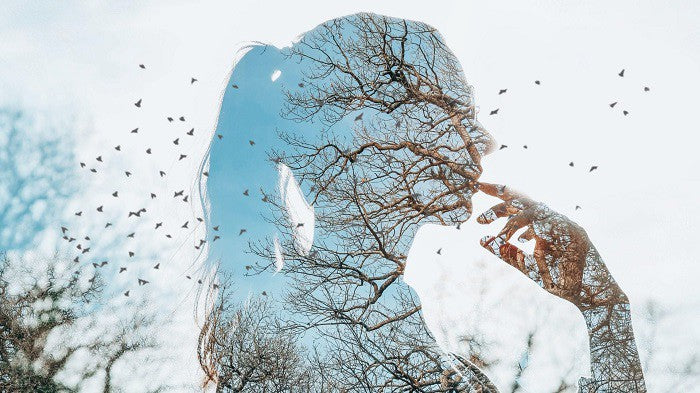 What Is Intuition?