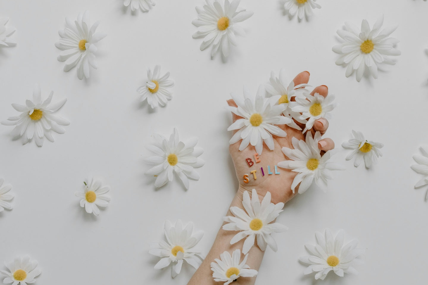 A hand holding and surrounded by daisies with the words 'be still' set against a white background
