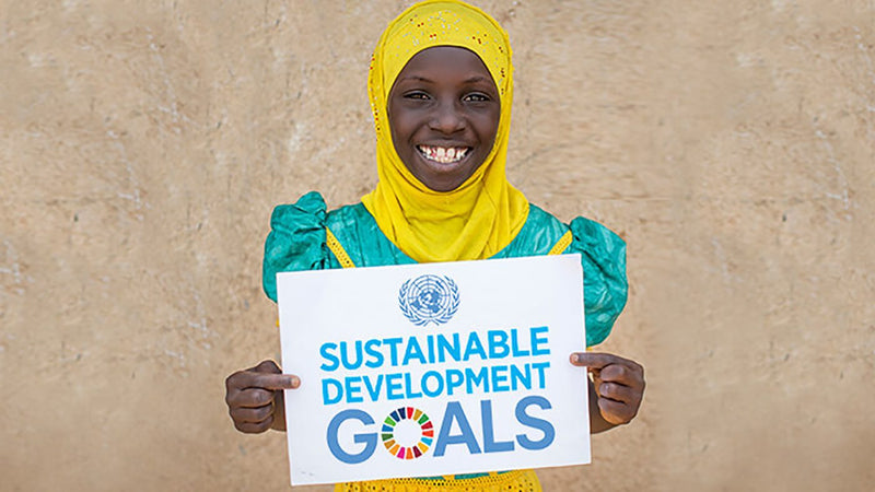 A Look at the 17 Sustainable Development Goals