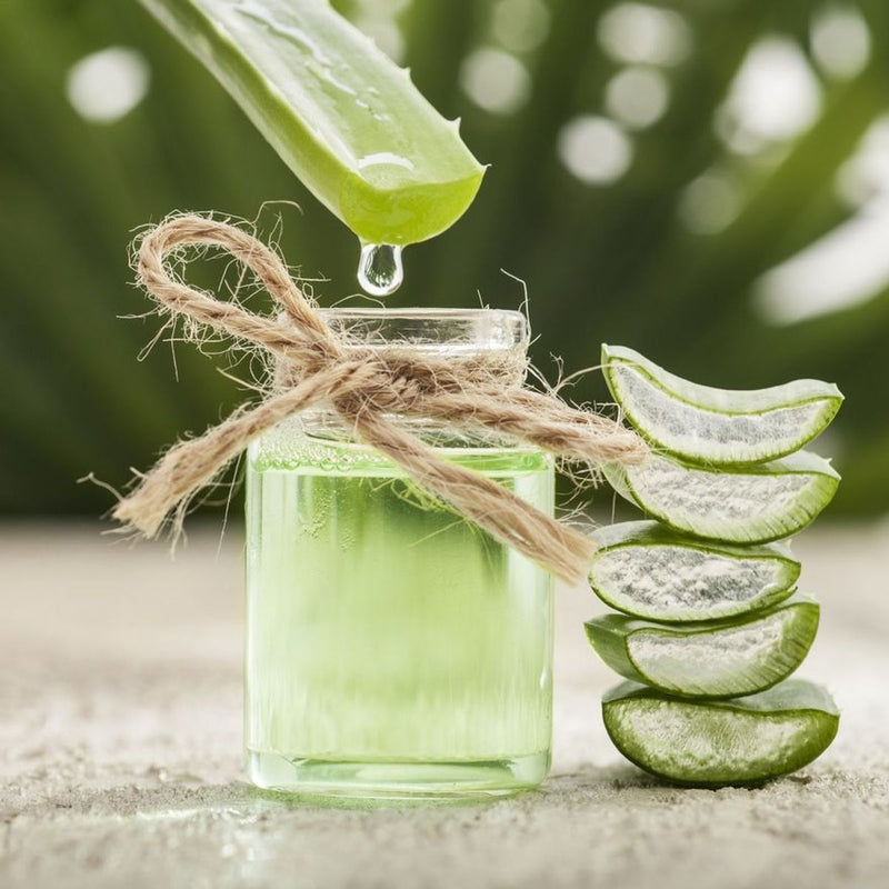 Aloe in Skincare