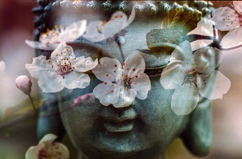 Opening Up to Chakra Healing