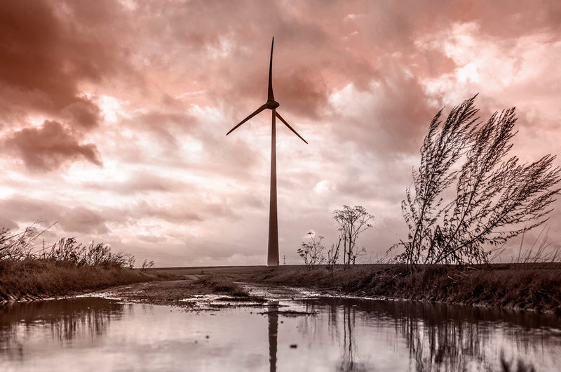 What Does It Mean To Be Eco Sustainable?