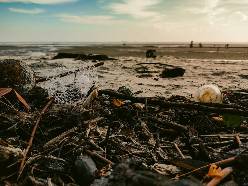 Plastic 101: Microplastics and Pollution