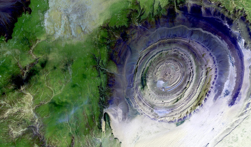 Carbon Footprints and a Circular Economy: How You Can Contribute