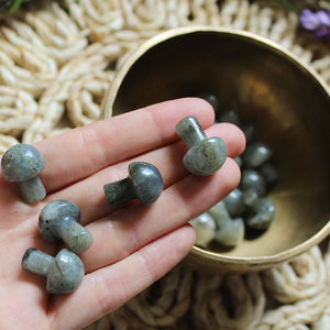 Mini Crystal Mushroom - Humanist Beauty