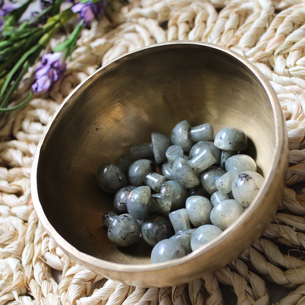 Mini Crystal Mushroom - Humanist Beauty