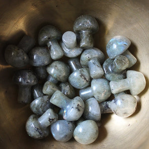 Mini Crystal Mushroom - Humanist Beauty