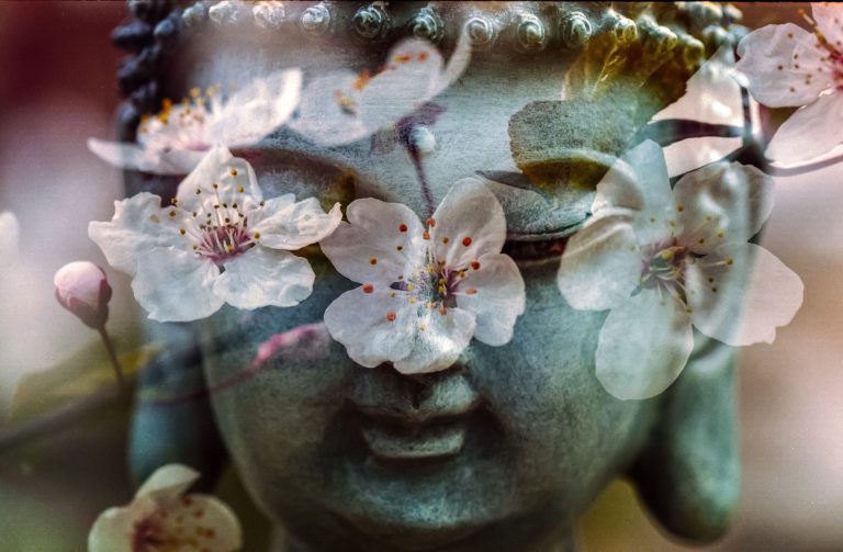A buddha head status with delicate flowers superimposed