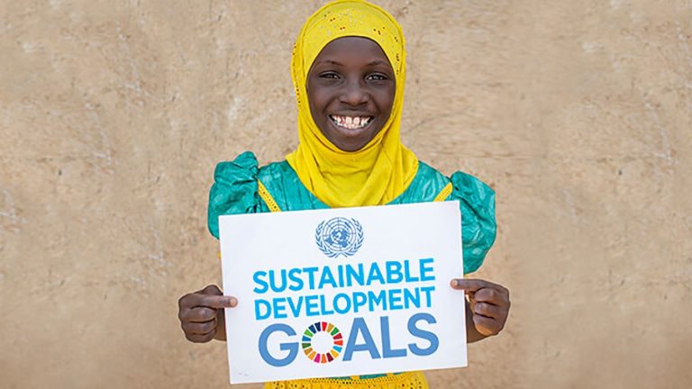 The UN 17 Sustainable Development Goals