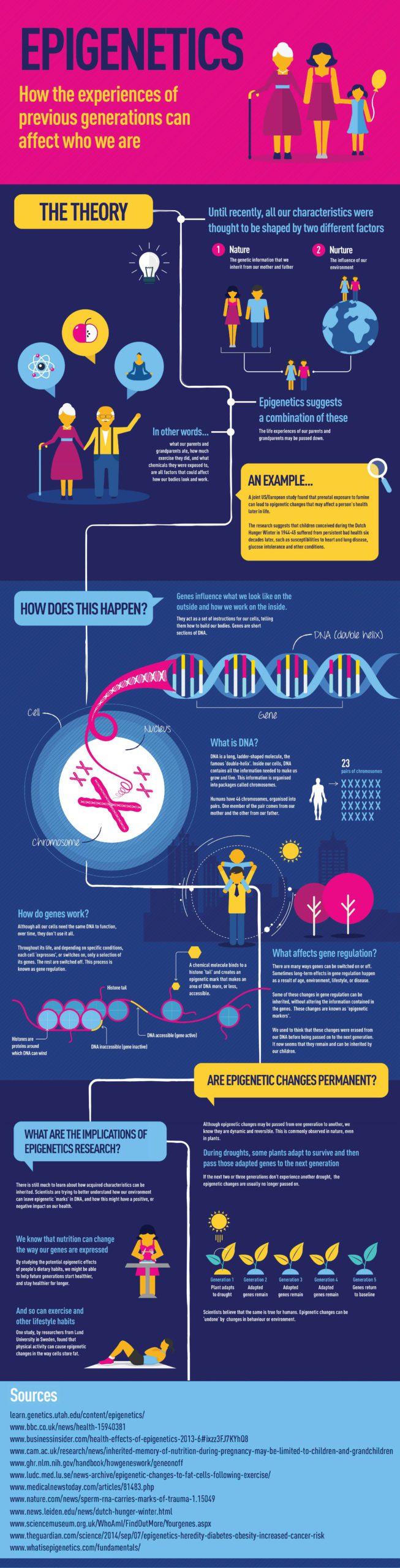 Epigenetics Infographic