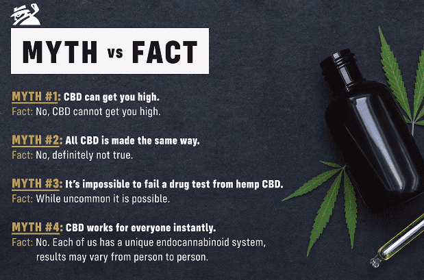 CBD fact sheet
