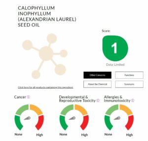 Calophyllum-Inophyllum-Seed-Oil